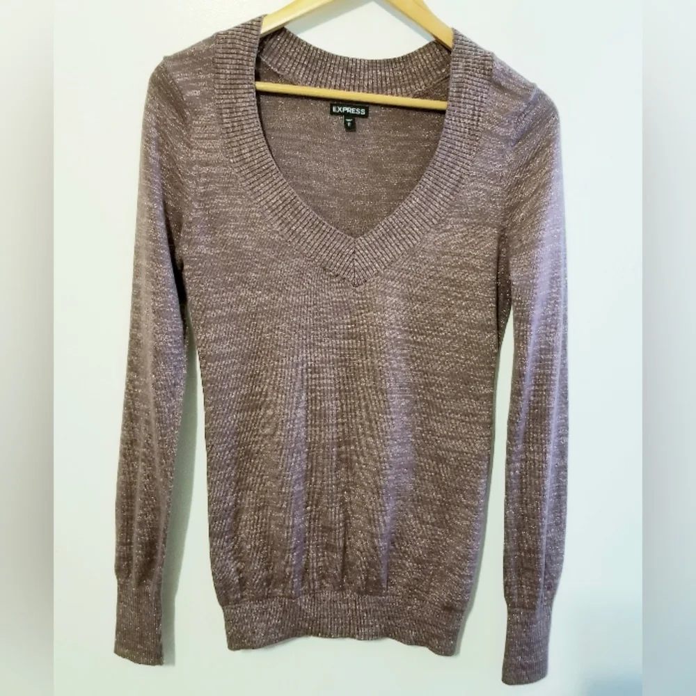 Express Pink Mauve Shimmer Vneck Longsleeve Banded Blouse Medium